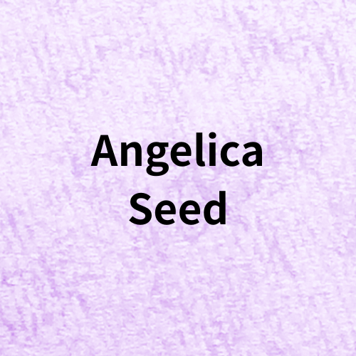 Angelica Seed(Essential Oil)＠botanical-study.com