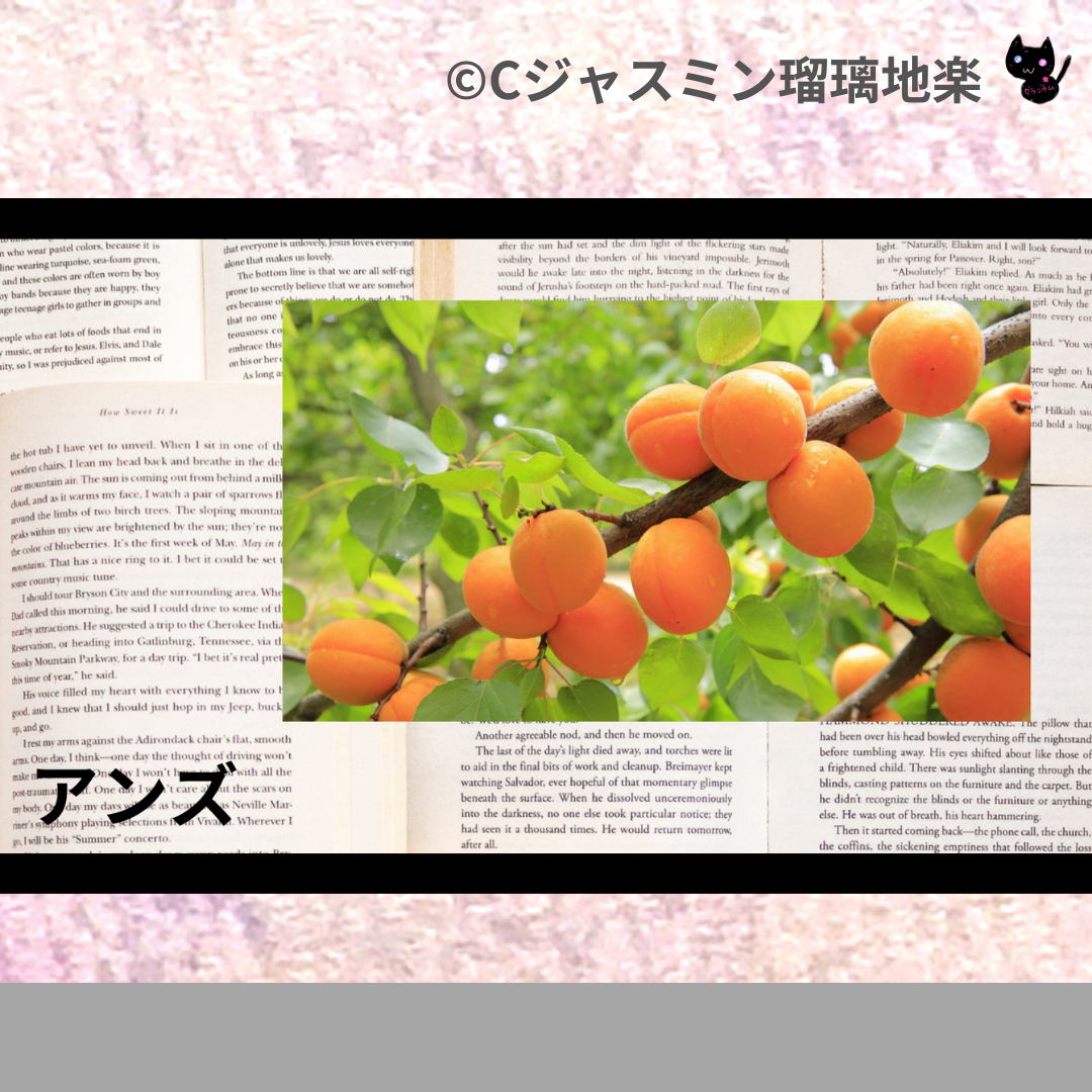 アンズ(ハーブ)＠botanical-study.com