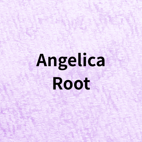 Angelica Root(Essential Oil)＠botanical-study.com