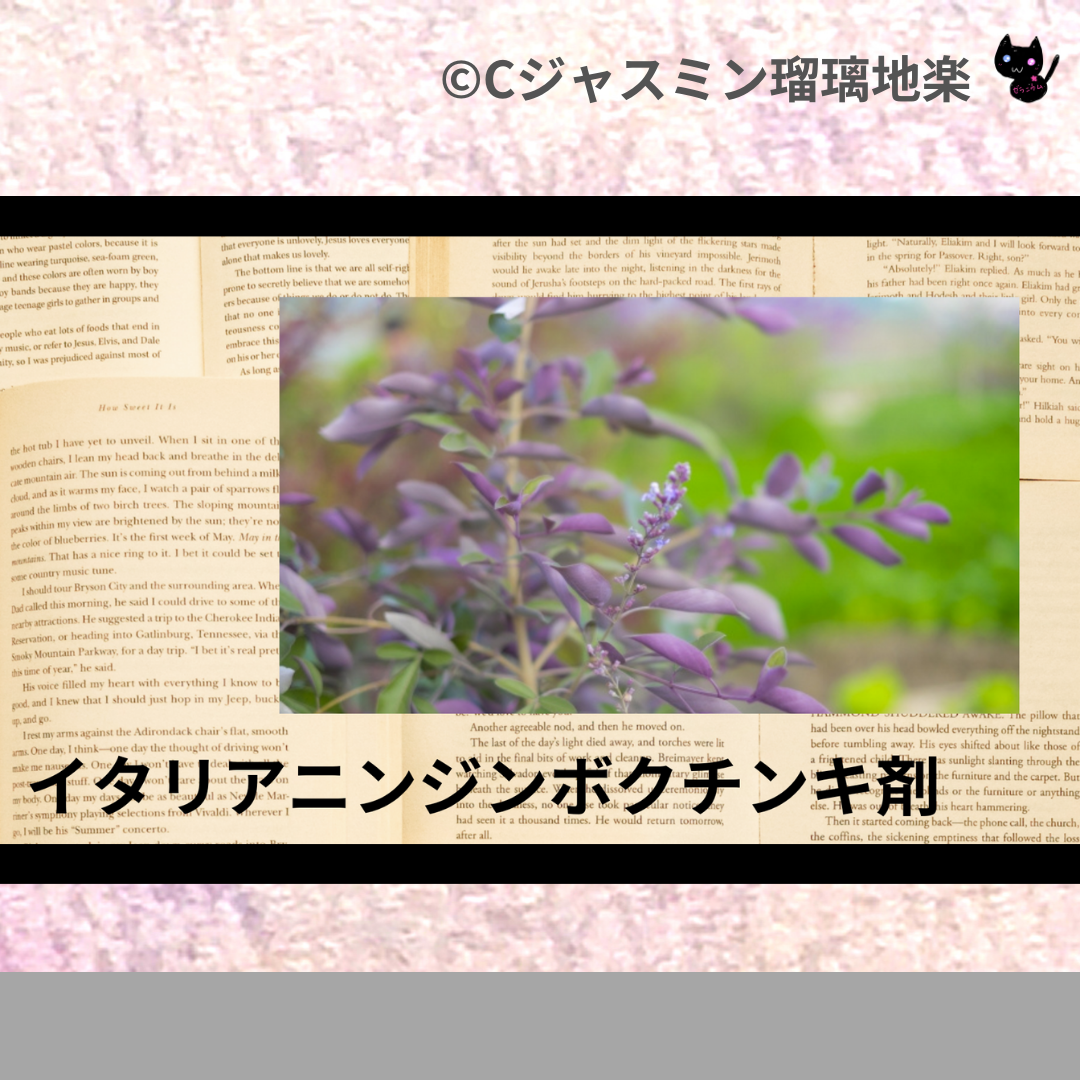 イタリアニンジンボクチンキ剤(基材)＠botanical-study.com
