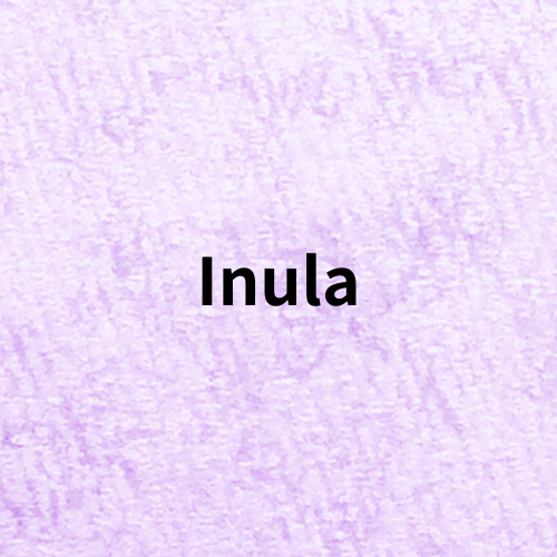 Inula(Essential Oil)＠botanical-study.com