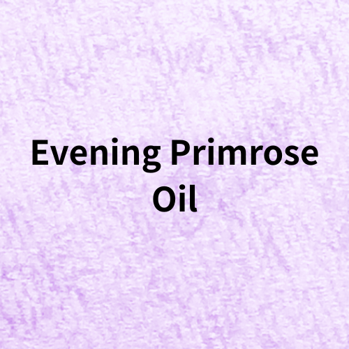 Evening Primrose Oil(Base Materials)＠botanical-study.com