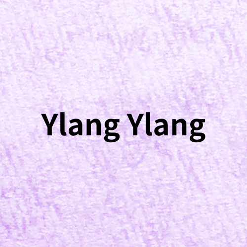 Ylang Ylang(Essential Oil)＠botanical-study.com
