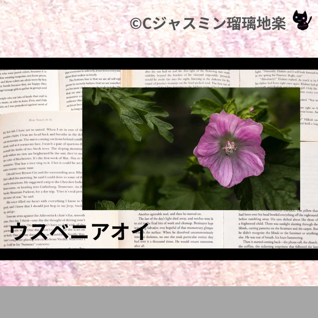 ウスベニアオイ(ハーブ)＠botanical-study.com