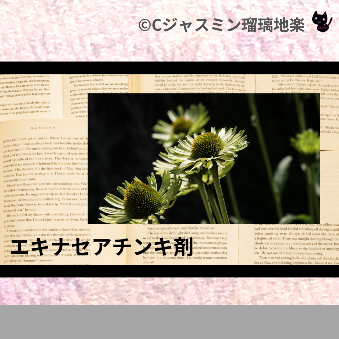 エキナセアチンキ剤(基材)＠botanical-study.com