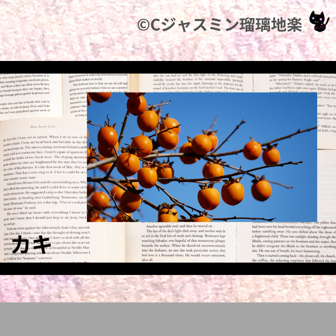 カキ(ハーブ)＠botanical-study.com