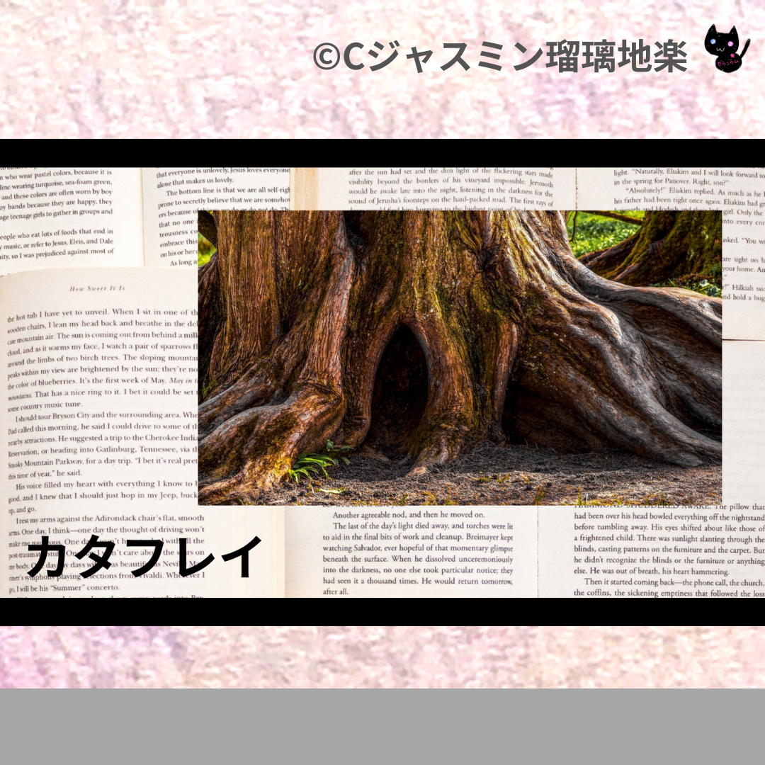 カタフレイ(精油)＠botanical-study.com