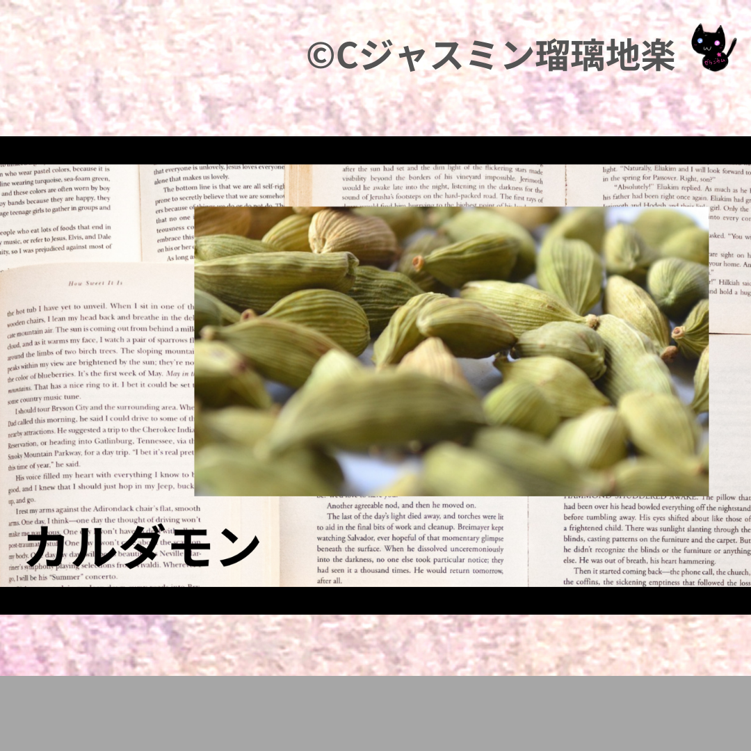 カルダモン(精油・ハーブ・スパイス)＠botanical-study.com