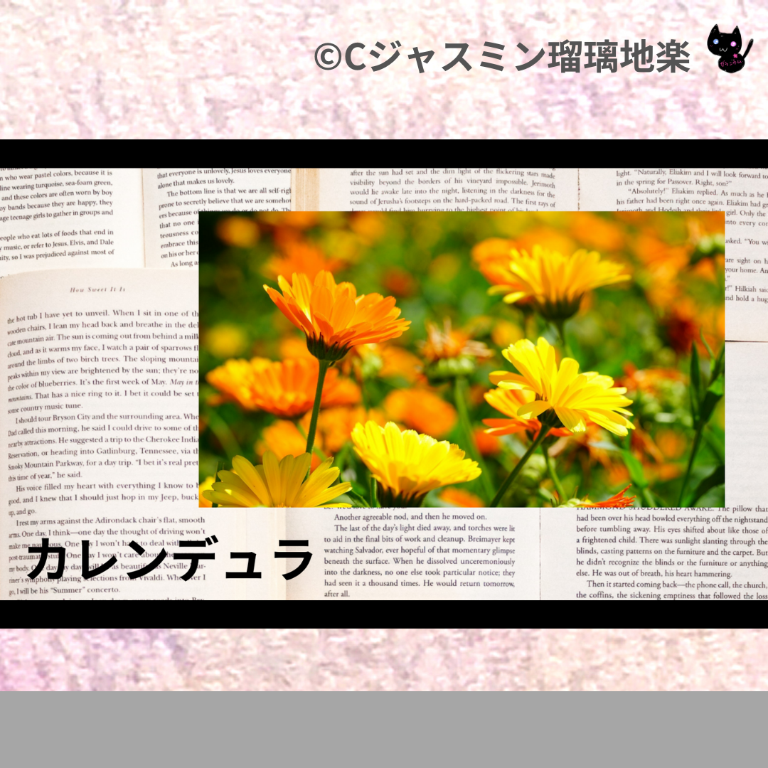 カレンデュラ(ハーブ)＠botanical-study.com
