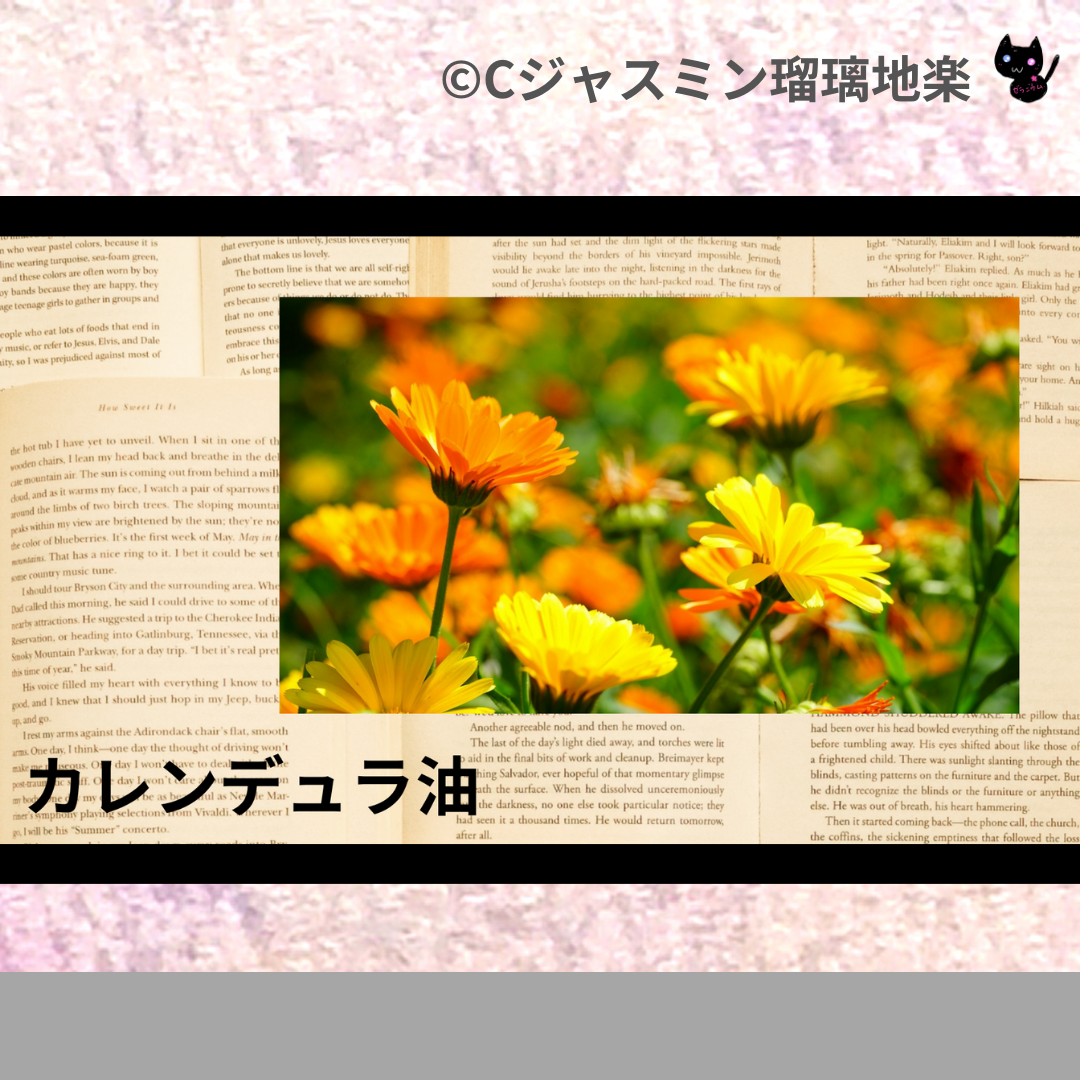 カレンデュラ油(基材)＠botanical-study.com