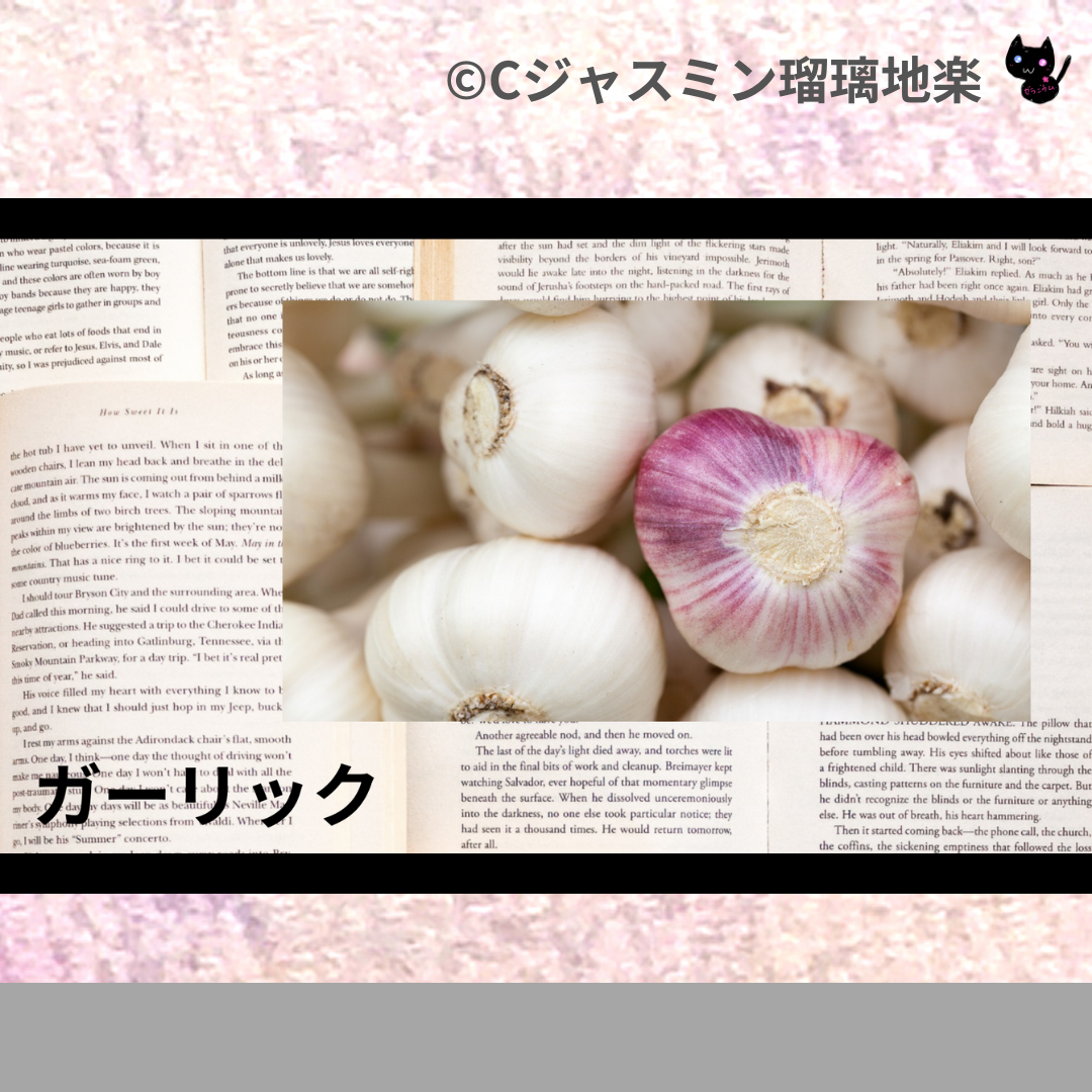 ガーリック(ハーブ・スパイス)＠botanical-study.com