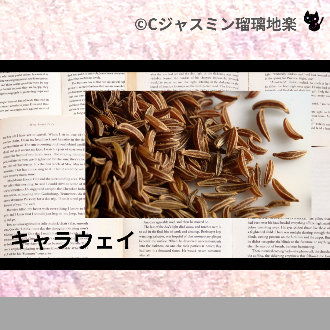 キャラウェイ(精油・ハーブ・スパイス)＠botanical-study.com