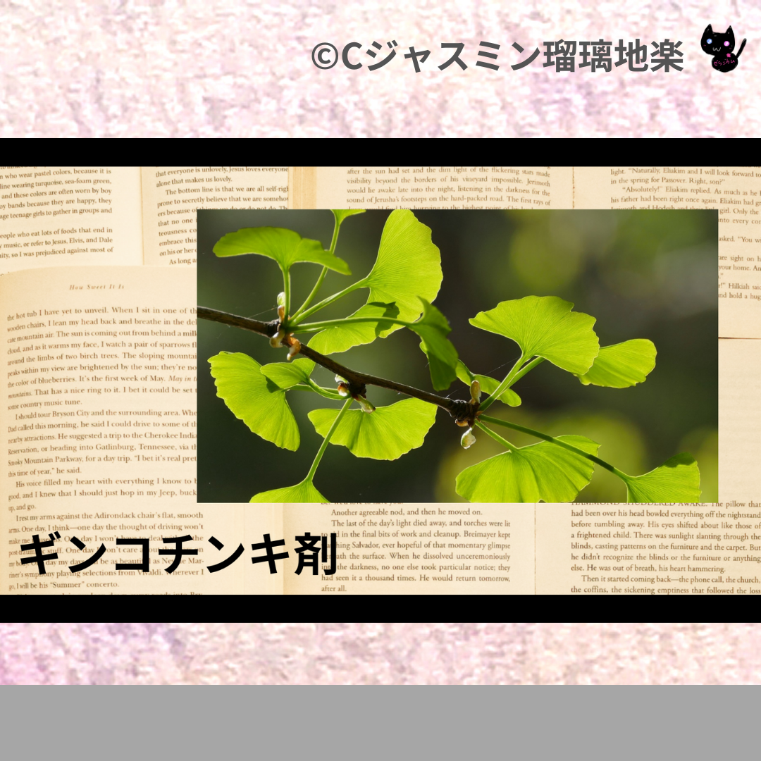 ギンコチンキ剤(基材)＠botanical-study.com