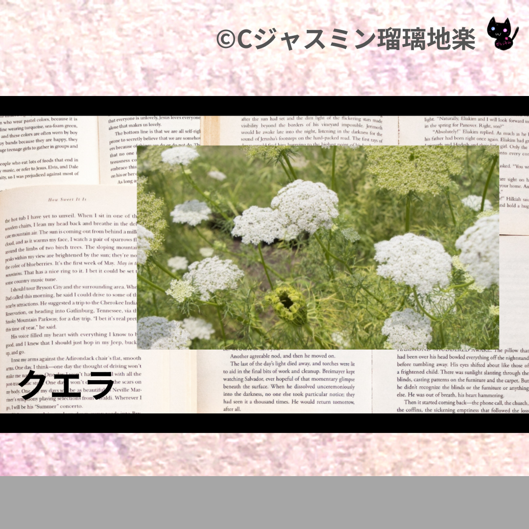 クエラ(精油)＠botanical-study.com