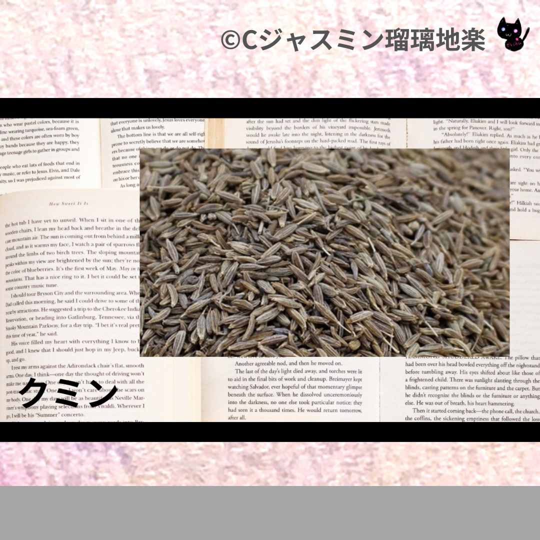 クミン(精油・ハーブ・スパイス)＠botanical-study.com