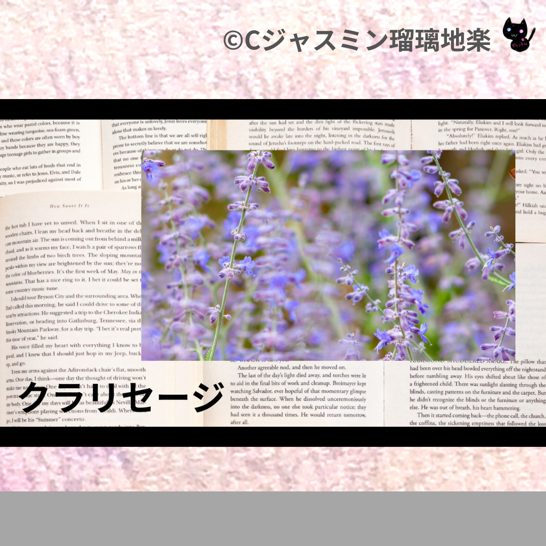 クラリセージ(精油)＠botanical-study.com