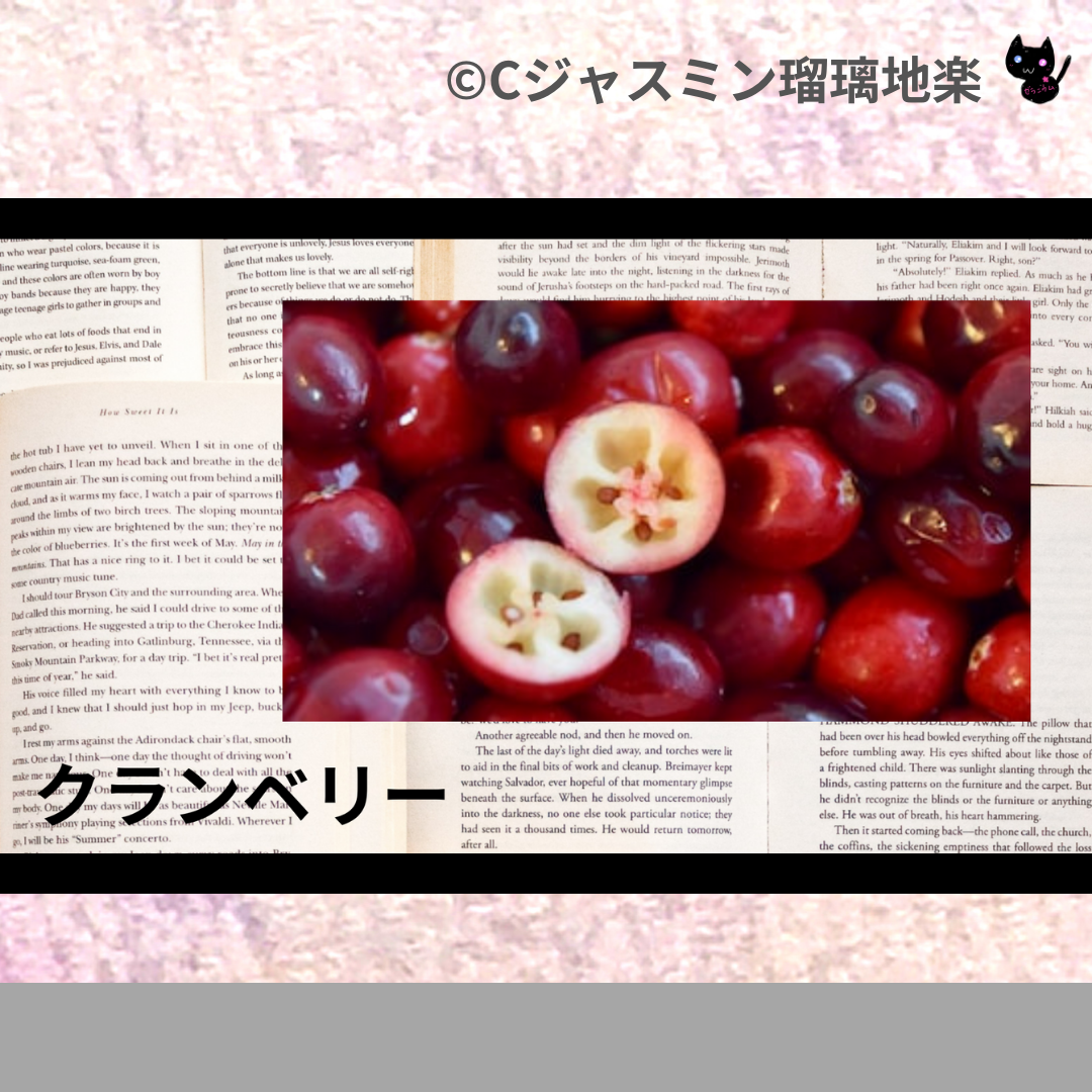 クランベリー(ハーブ)＠botanical-study.com