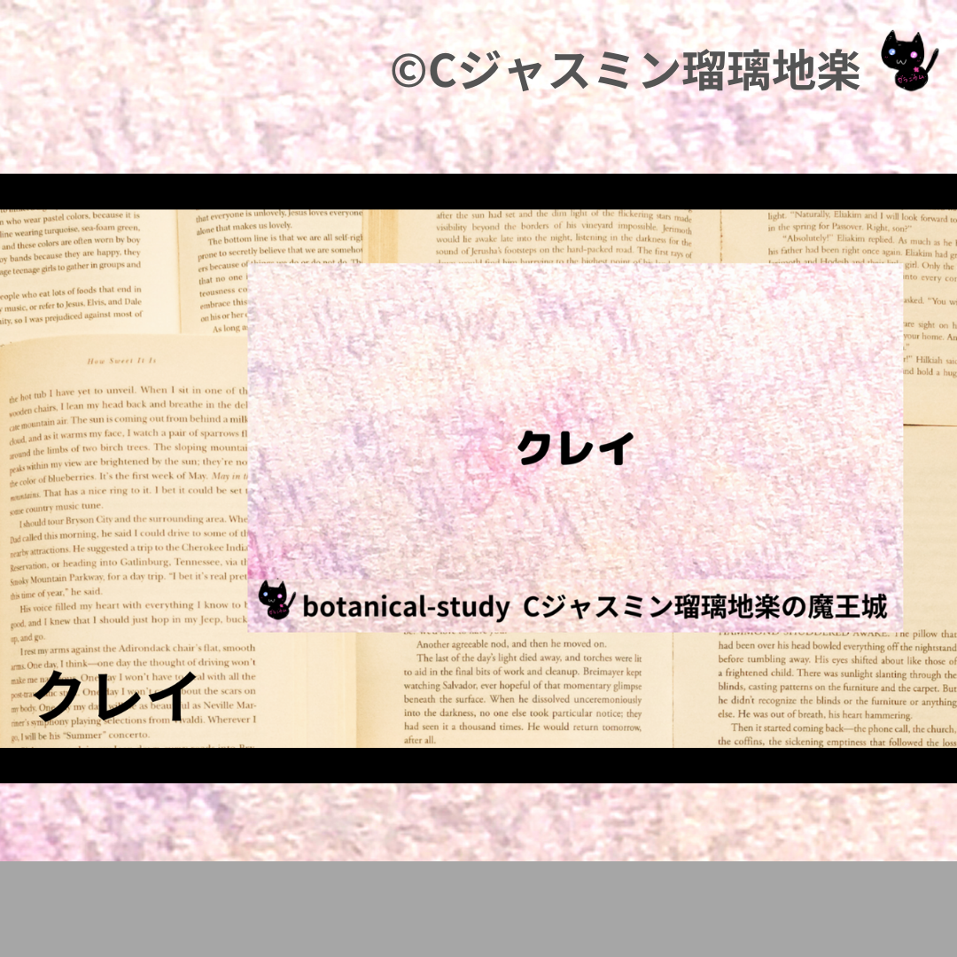 クレイ(基材)＠botanical-study.com