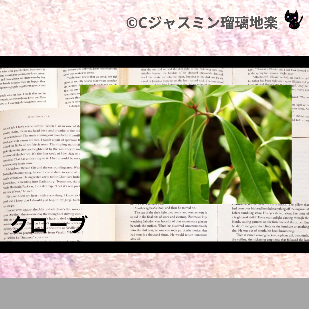クローブ(精油・ハーブ・スパイス)＠botanical-study.com