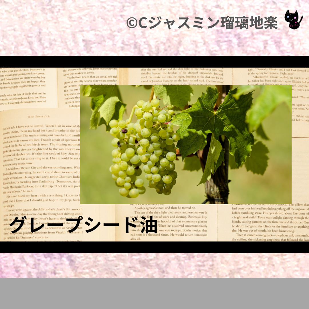 グレープシード油(基材)＠botanical-study.com