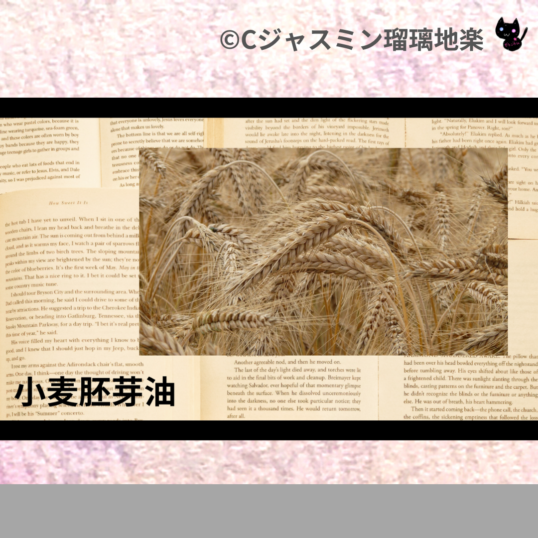 小麦胚芽油(基材)＠botanical-study.com