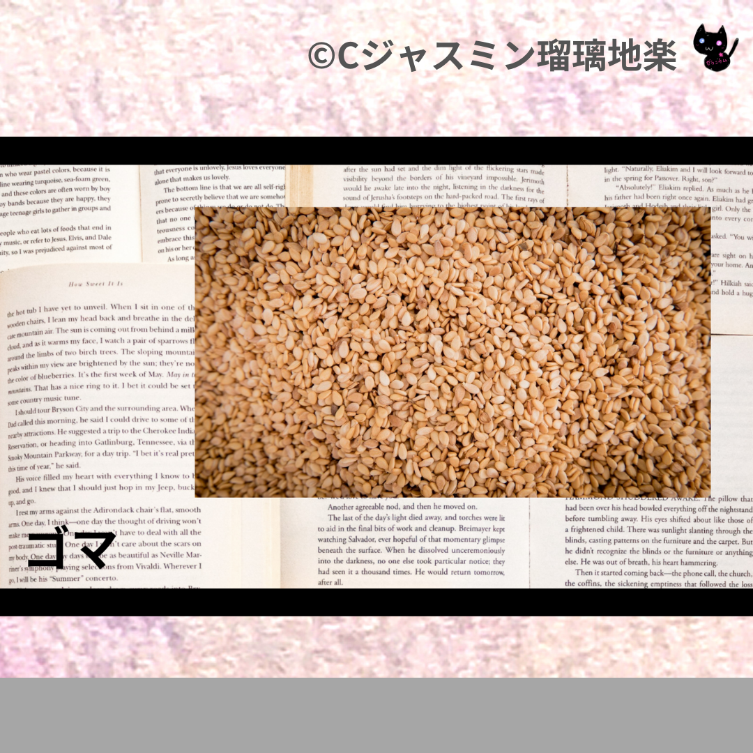 ゴマ(ハーブ)＠botanical-study.com