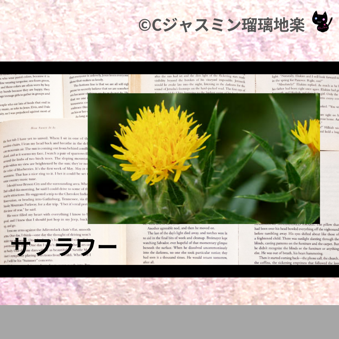 サフラワー(ハーブ)＠botanical-study.com
