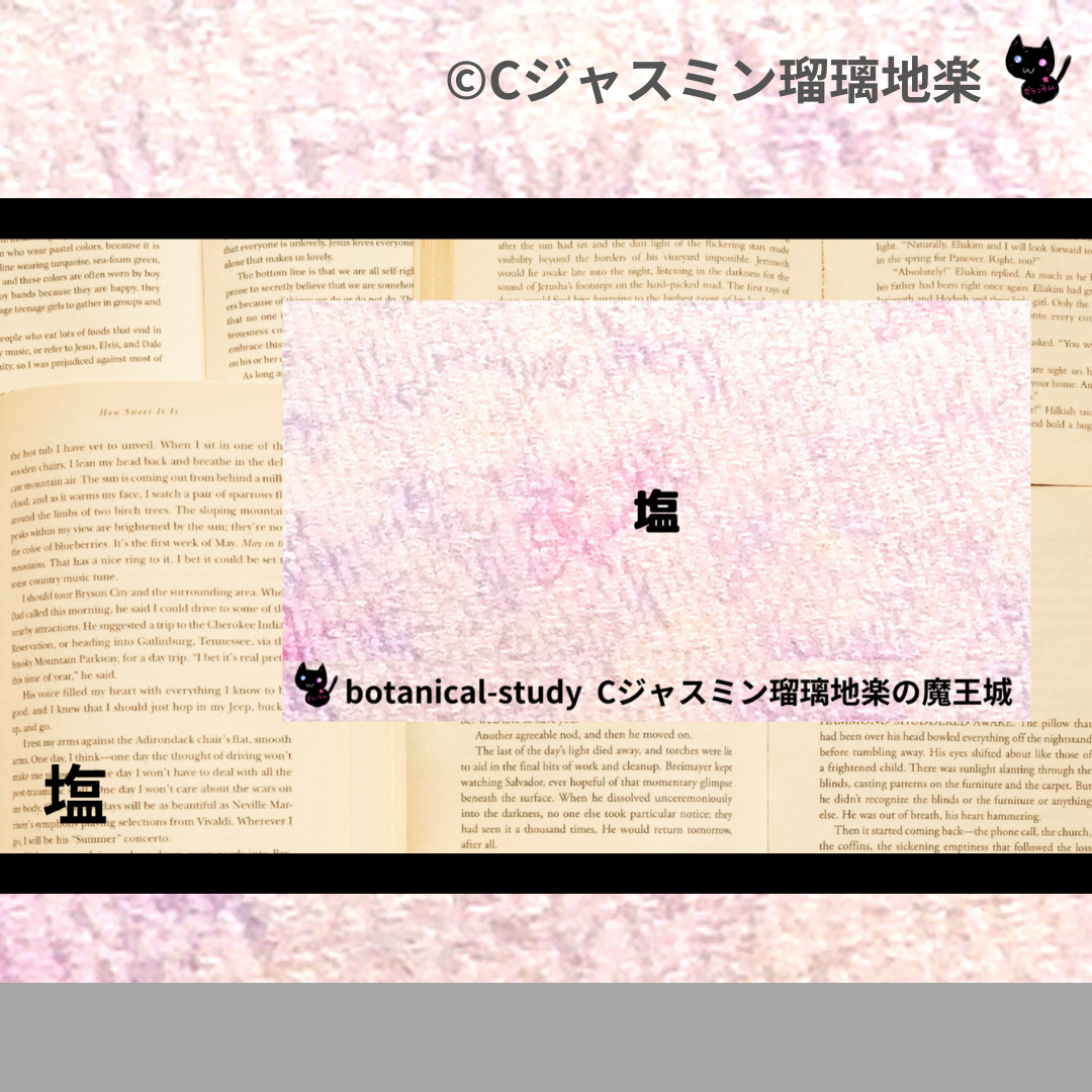 塩(基材)＠botanical-study.com