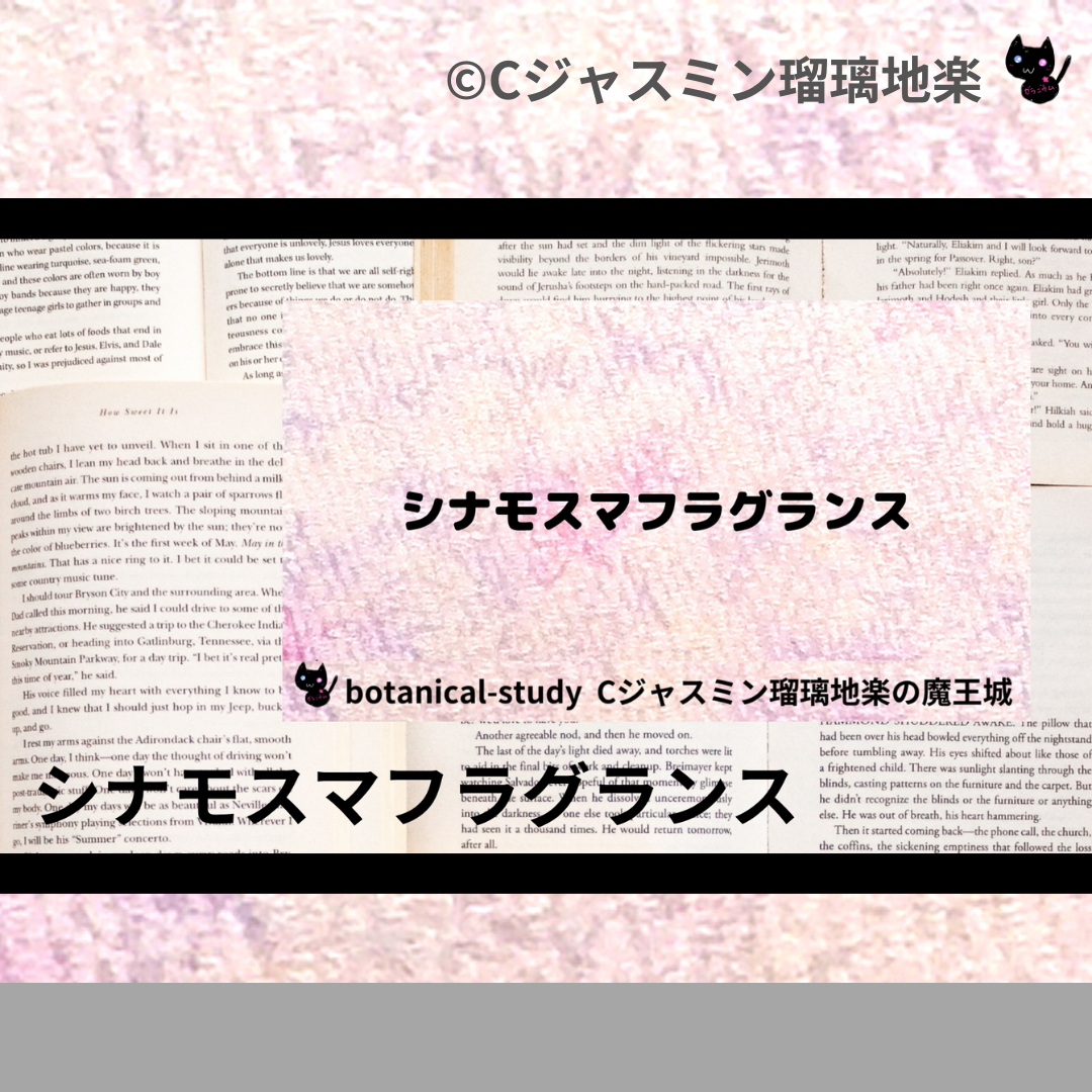 シナモスマフラグランス(精油)＠botanical-study.com