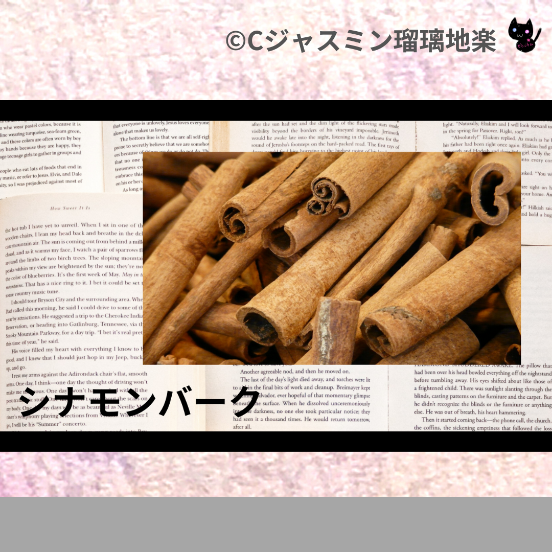 シナモンバーク(ハーブ・スパイス)＠botanical-study.com
