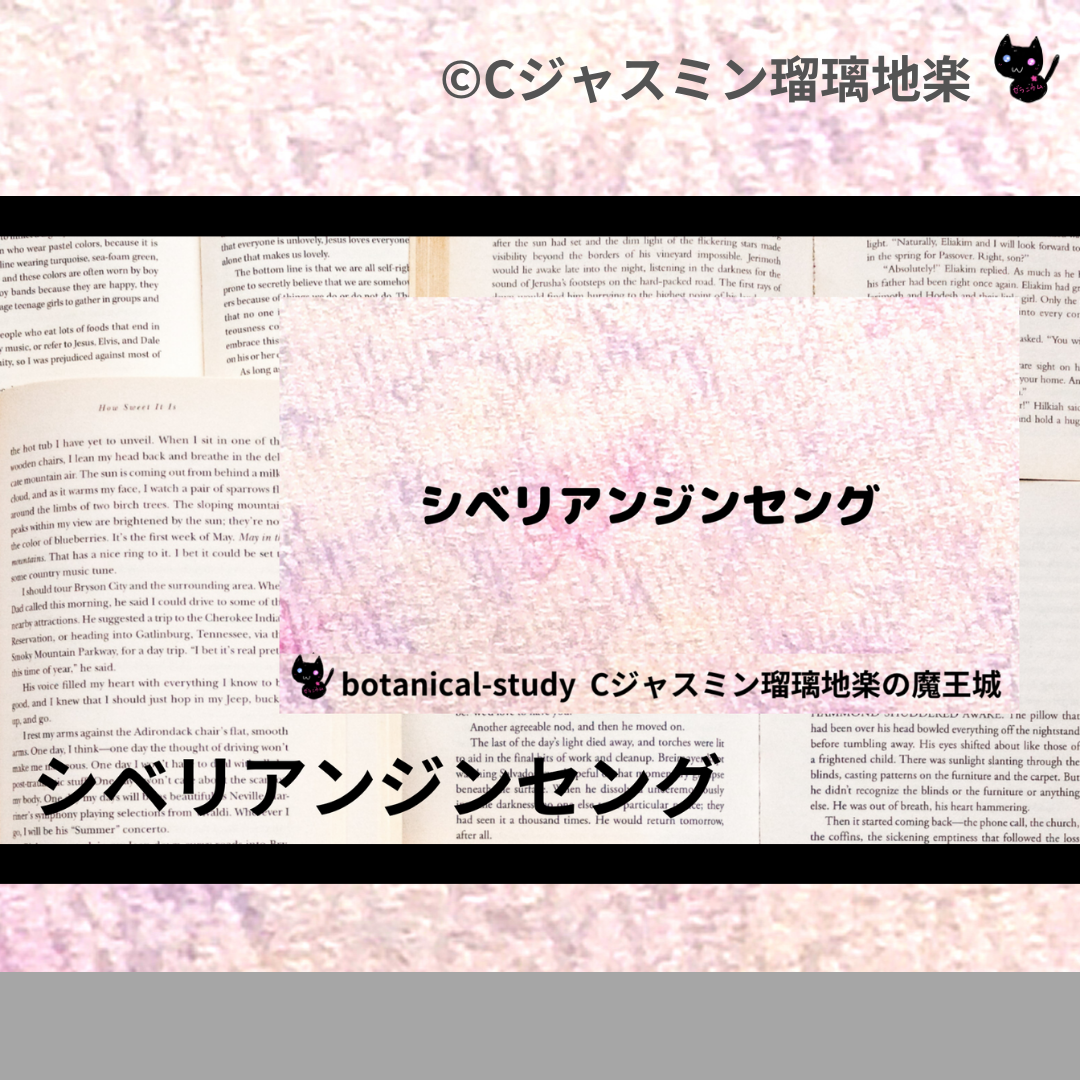 シベリアンジンセング(ハーブ)＠botanical-study.com