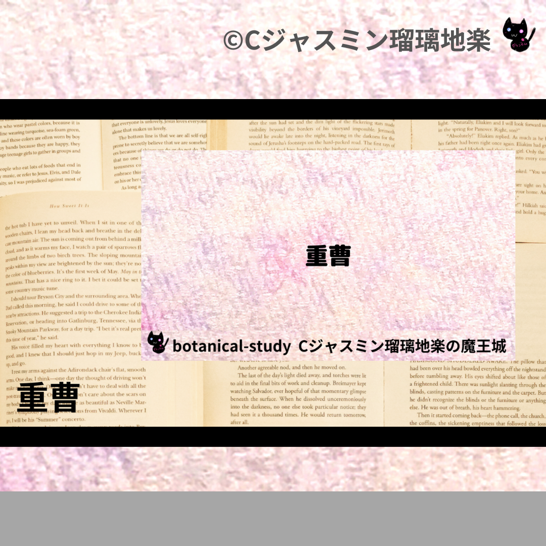 重曹(基材)＠botanical-study.com