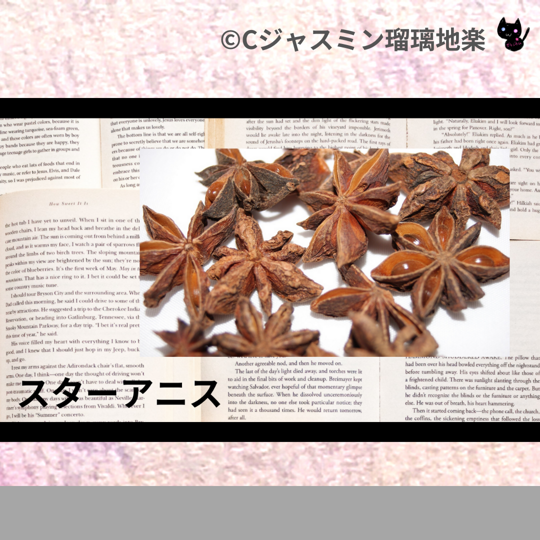 スターアニス(精油・ハーブ・スパイス)＠botanical-study.com