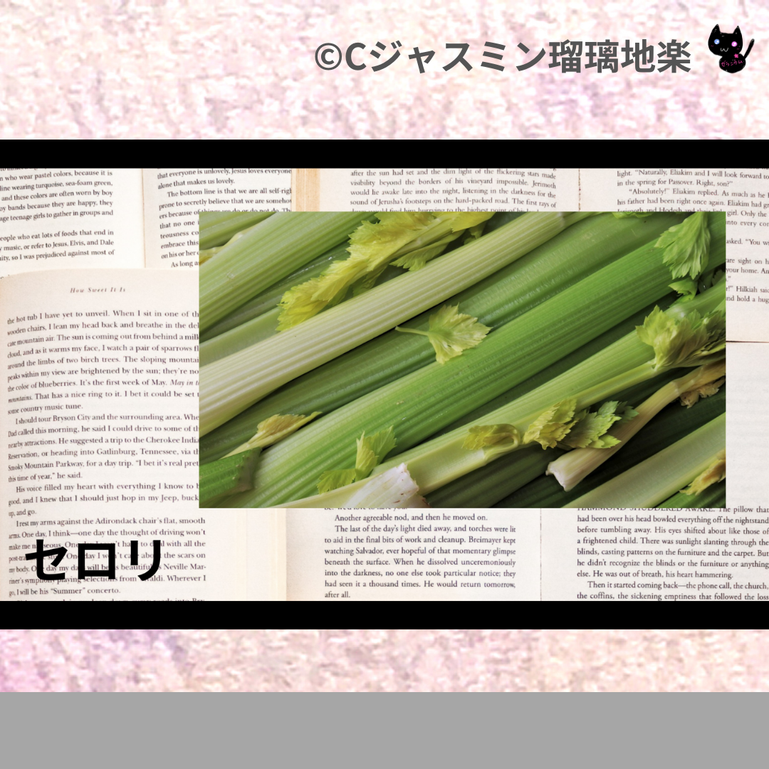 セロリ(精油・ハーブ)＠botanical-study.com