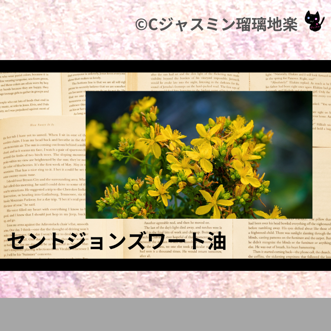 セントジョンズワート油(基材)＠botanical-study.com