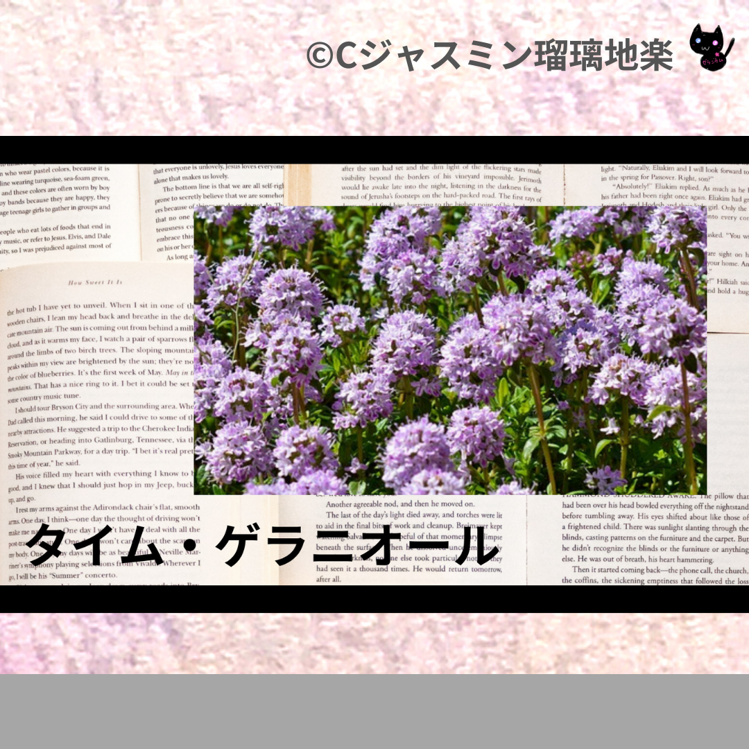 タイム・ゲラニオール(精油)＠botanical-study.com