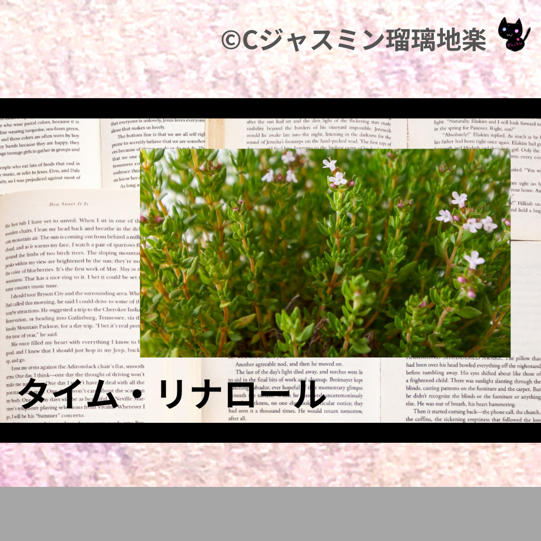 タイム・リナロール(精油)＠botanical-study.com
