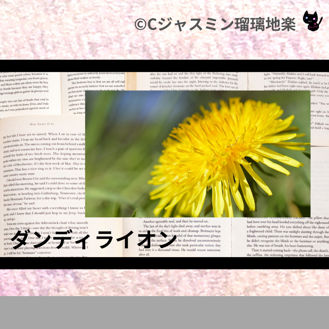 ダンディライオン(ハーブ)＠botanical-study.com