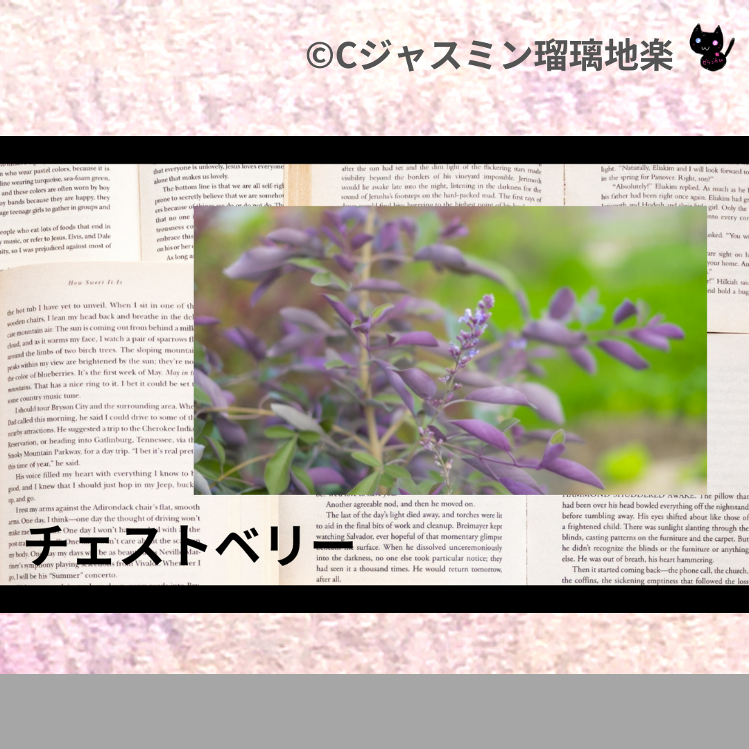 チェストベリー(ハーブ)＠botanical-study.com