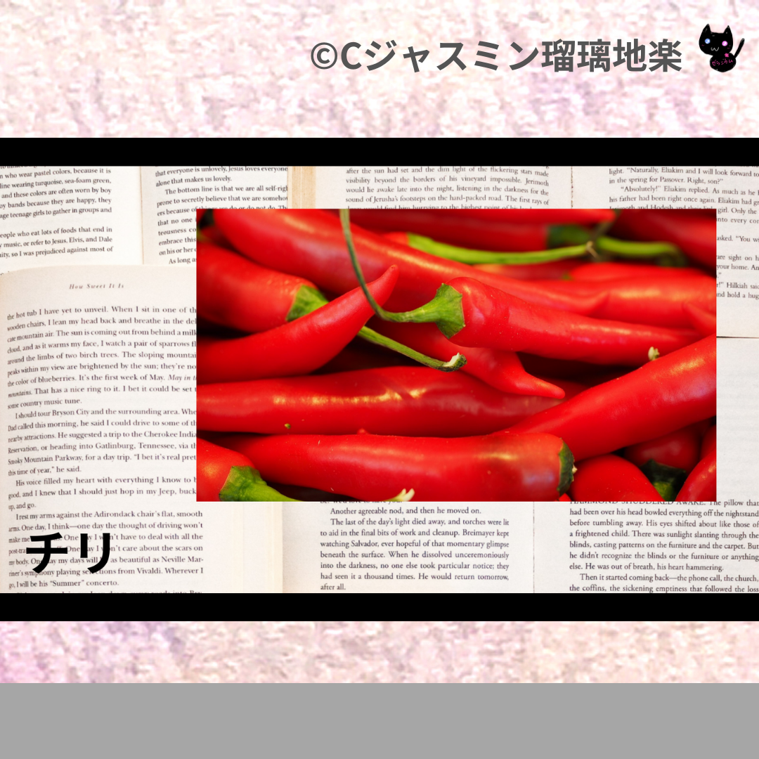 チリ(ハーブ・スパイス)＠botanical-study.com