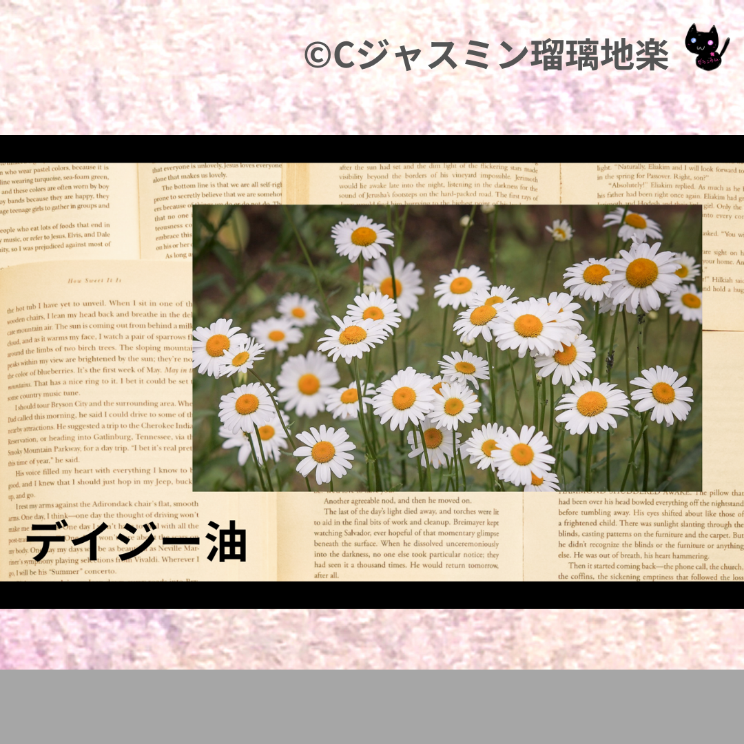 デイジー(基材)＠botanical-study.com