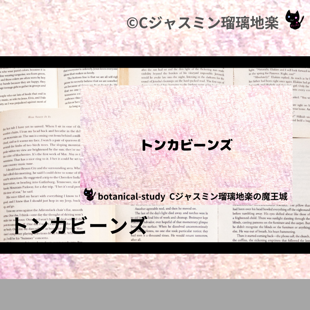 トンカビーンズ(精油)＠botanical-study.com