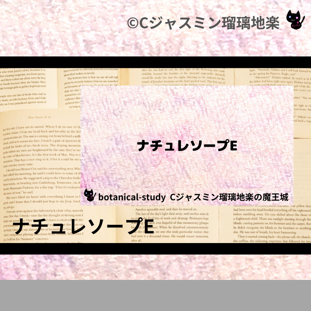 ナチュレソープE(基材)＠botanical-study.com