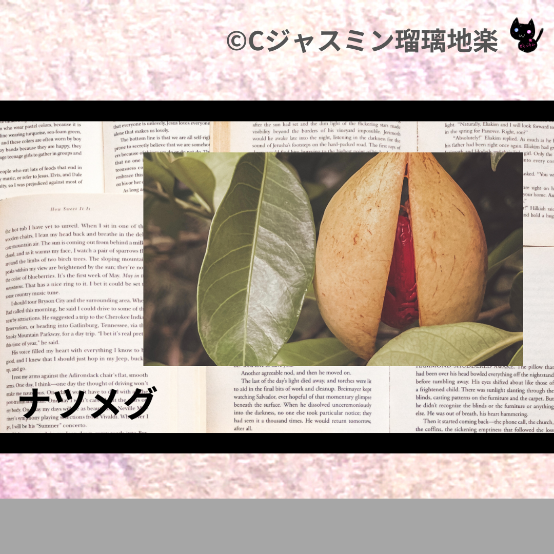 ナツメグ(精油・ハーブ・スパイス)＠botanical-study.com