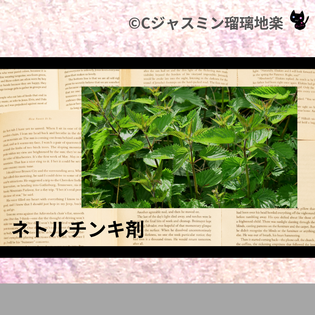 ネトルチンキ剤(基材)＠botanical-study.com