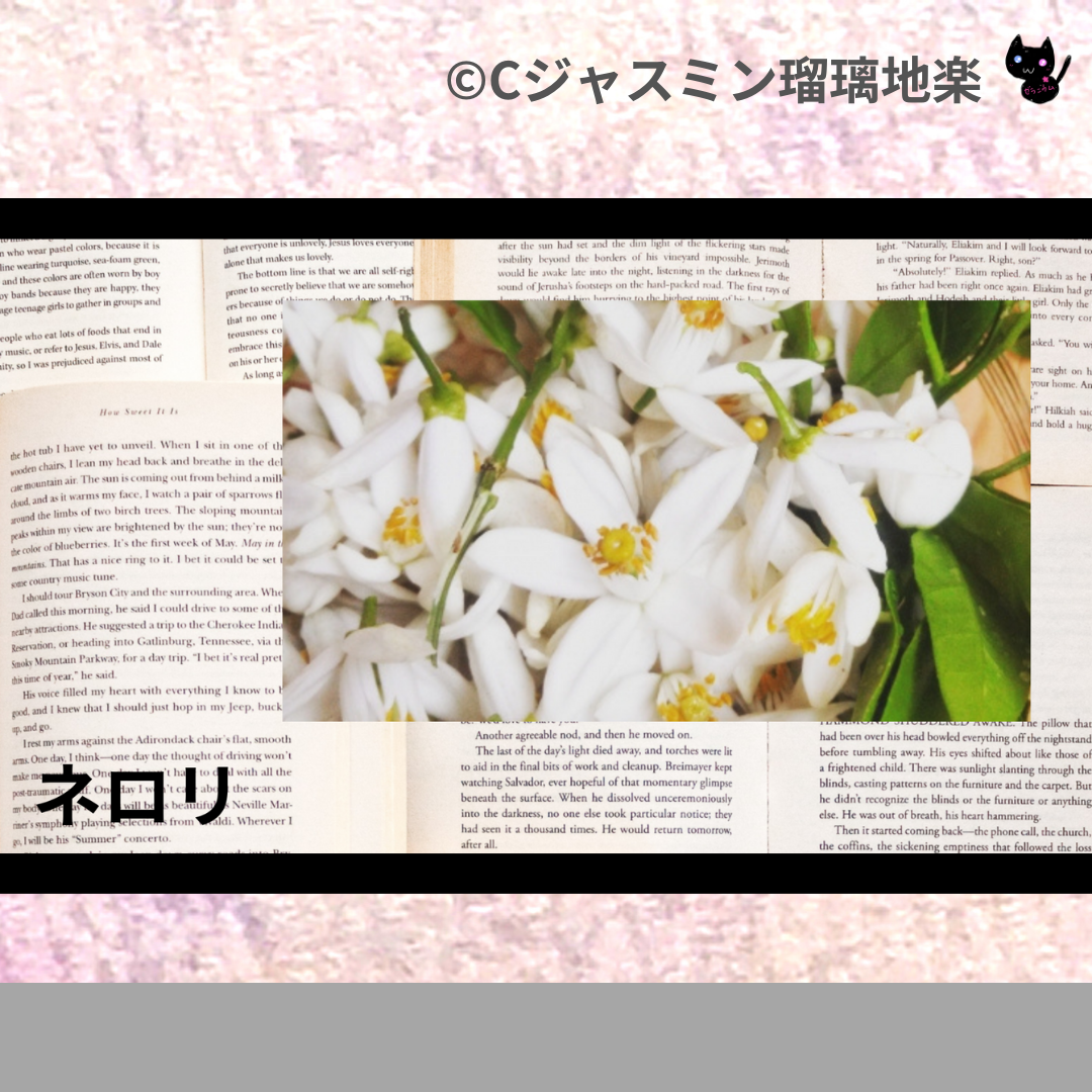 ネロリ(精油)＠botanical-study.com