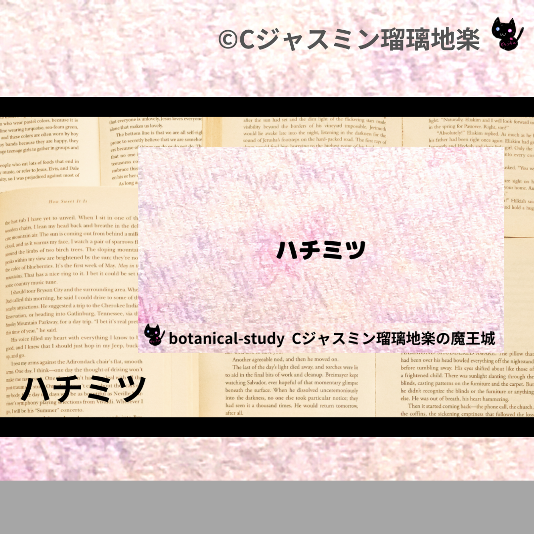 ハチミツ(基材)＠botanical-study.com