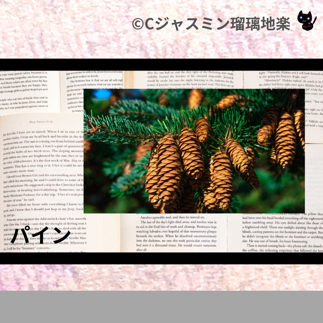 パイン(精油)＠botanical-study.com