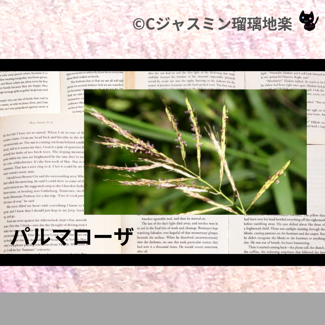 パルマローザ(精油)＠botanical-study.com