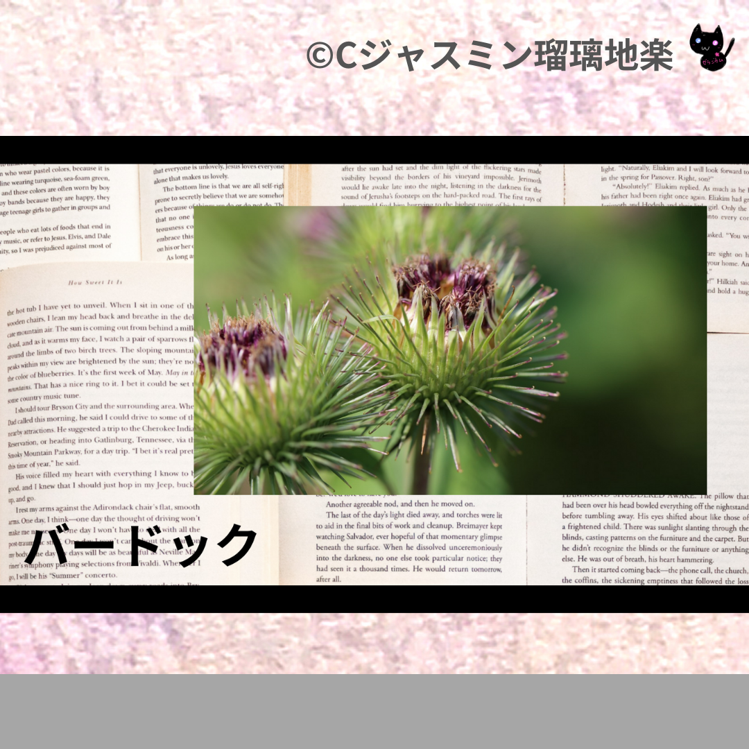 バードック(ハーブ)＠botanical-study.com